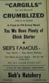 Siebs38.jpg (258932 bytes)